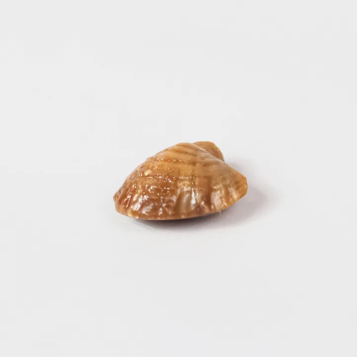 Brown Color Machi Mani Loose Gemstone (Per Carat)