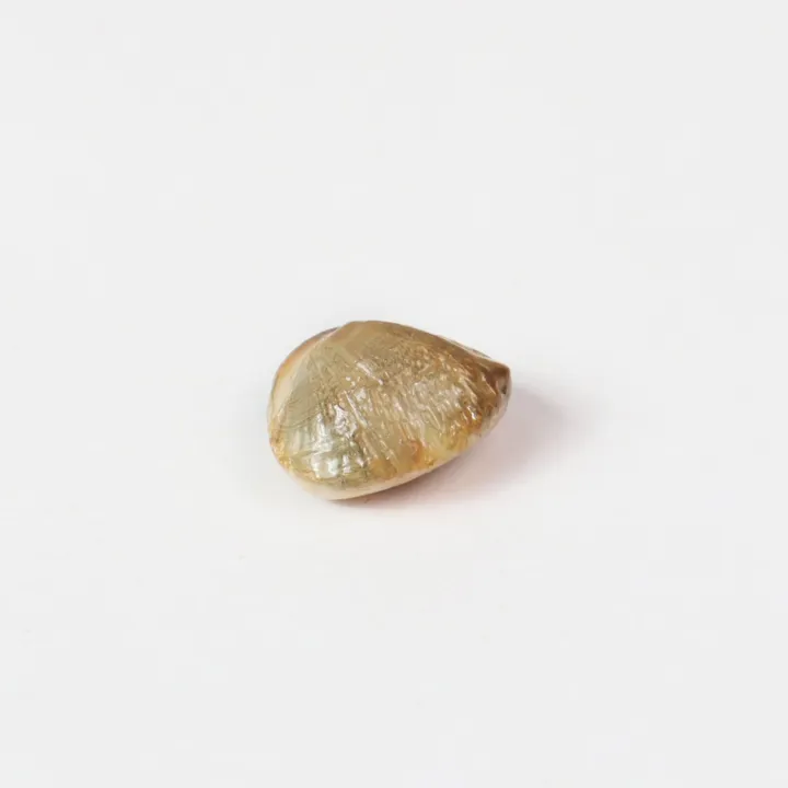 Brown Color Precious SriLanka Fine Loose Gemstone (Per Carat) – Gomed / Hessonite for Rahu