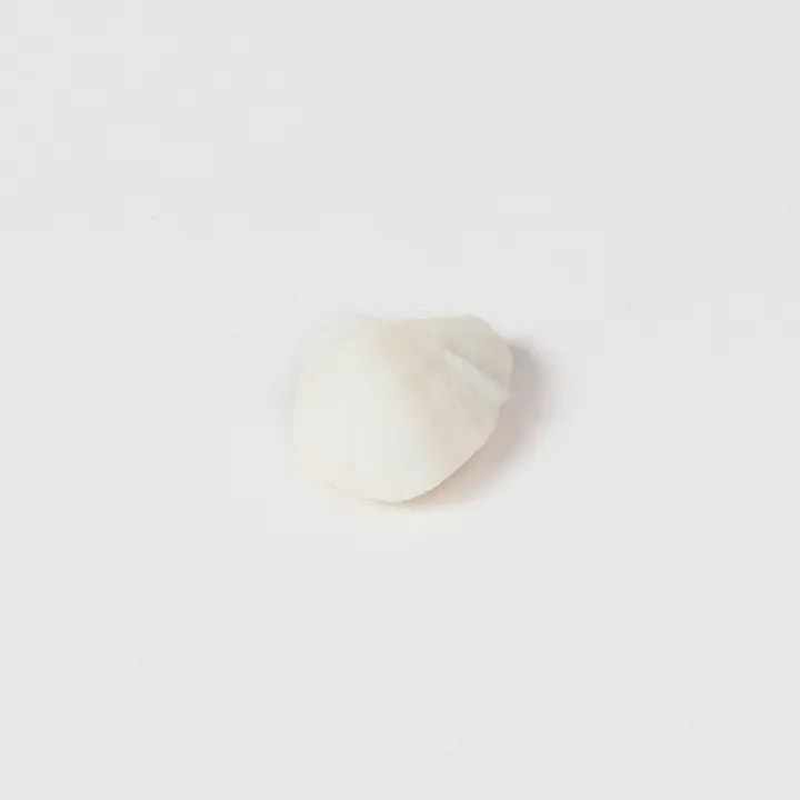 White Color Precious Sukrya Mani Loose Gemstone (Per Carat) – Venus (Shukra) Gem for Love, Marriage & Manglik Dosh Support