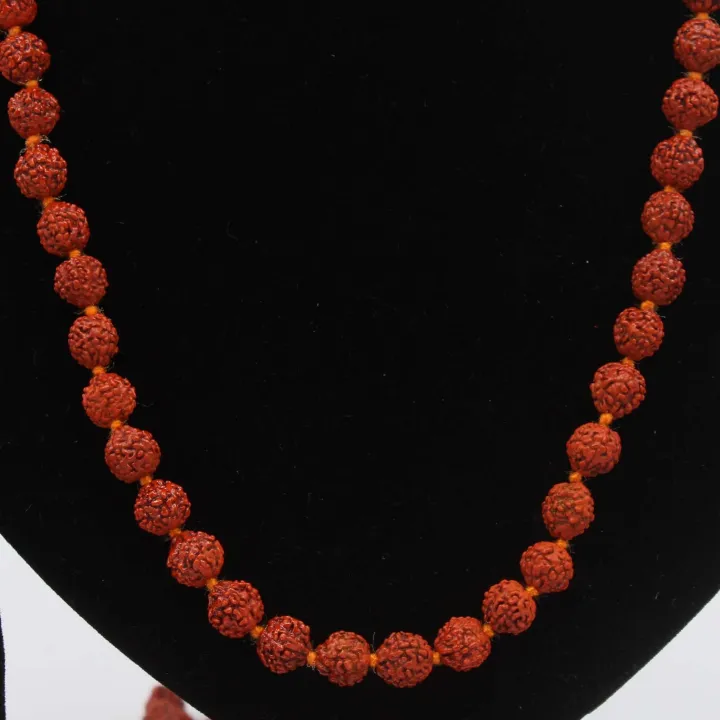 108 Rudraksha Zero Size Mala with Siddhi (20") – Spiritual Power, Prosperity & Protection